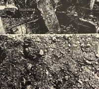 Grunt / Gelsomina – Grunt / Gelsomina 2xCD (Freak Animal)