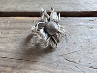 Image 4 of Echinacia ring, size 6.5