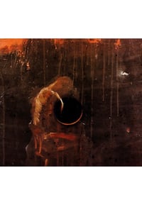 Junkyard Shaman - Flesh Hole CD (Freak Animal)