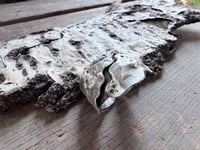 Image 2 of Aspen Bark ring, size 8.5-9
