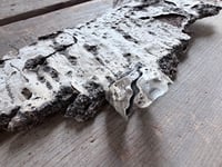 Image 4 of Aspen Bark ring, size 8.5-9
