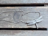 Image 4 of Dragonfly in Flight