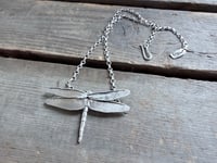 Image 3 of Dragonfly in Flight