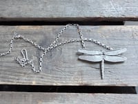 Image 7 of Dragonfly in Flight