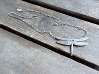 Image 8 of Dragonfly in Flight