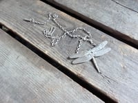 Image 1 of Dragonfly in Flight