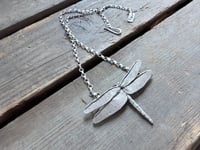Image 2 of Dragonfly in Flight
