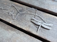 Image 9 of Dragonfly in Flight