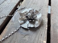 Image 5 of June Poppy