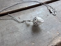 Image 1 of Acorn