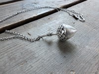 Image 4 of Acorn