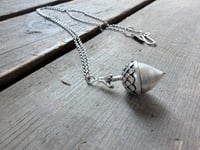 Image 6 of Acorn