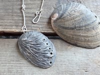 Image 2 of Abalone Shell