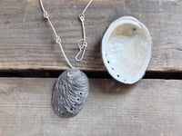 Image 4 of Abalone Shell