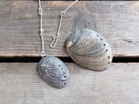 Image 6 of Abalone Shell