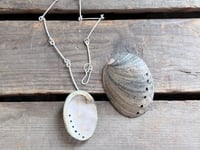 Image 10 of Abalone Shell