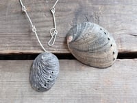 Image 9 of Abalone Shell