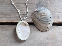 Image 11 of Abalone Shell