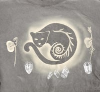 Image 2 of lions gate shirts