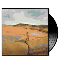 MARGO PRICE - Strays (color)