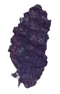 Image 2 of Galaxy Purple Powder Pigment
