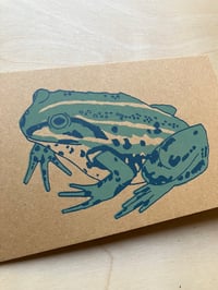 Image 2 of Northern Pool Frog Card