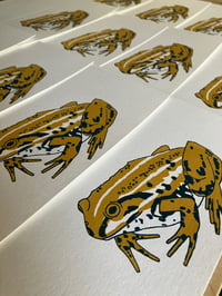 Image 4 of Northern Pool Frog Card
