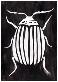 Image 5 of Brown bugs - print