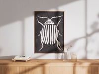 Image 4 of Brown bugs - print