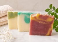 Sampler Bars