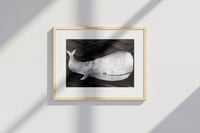 Image 1 of Big whale - print