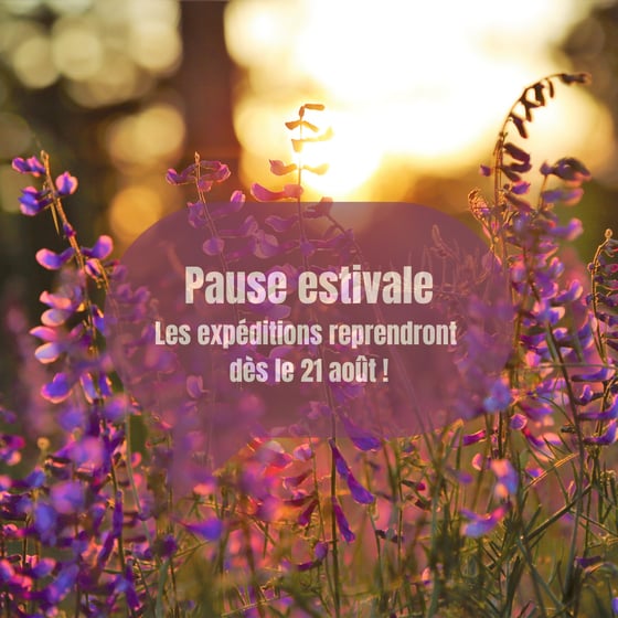 Image of Pause estivale