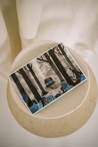 Image 1 of Curious creature - print