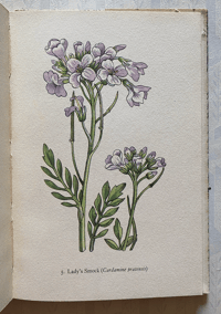 Image 3 of Flowers of the Meadow vintage King Penguin book 