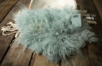 Cactus hand felted fur