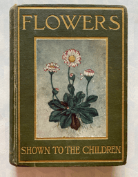 Image 1 of Flowers Shown to the Children