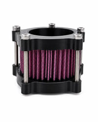 Image 2 of Honda Shadow Peep Show Air Cleaner 
