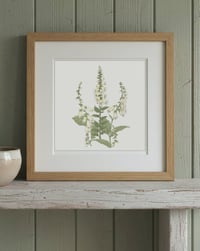 Image 2 of FOX GLOVE ART PRINT
