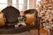Image of  VA CHRISTMAS SUNPORCH MINI SESSIONS - 11/8/26 - $275