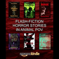 FLASH-FICTION