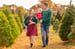 Image of VA - ChristmasTree Farm Mini Session - 11/22/26 ($305)