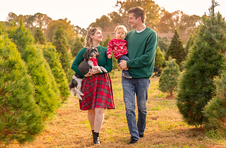 Image of VA - ChristmasTree Farm Mini Session - 11/22/26 ($305)