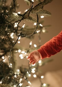 Image 4 of 2026 Cozy Christmas Minis (retainer only)
