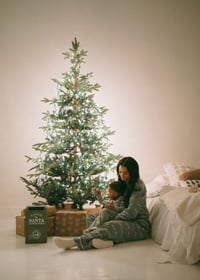 Image 2 of 2026 Cozy Christmas Minis (retainer only)