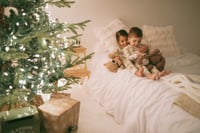 Image 3 of 2026 Cozy Christmas Minis (retainer only)