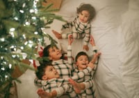 Image 1 of 2026 Cozy Christmas Minis (retainer only)
