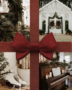 Image of November 15 | The Christmas Conservatory