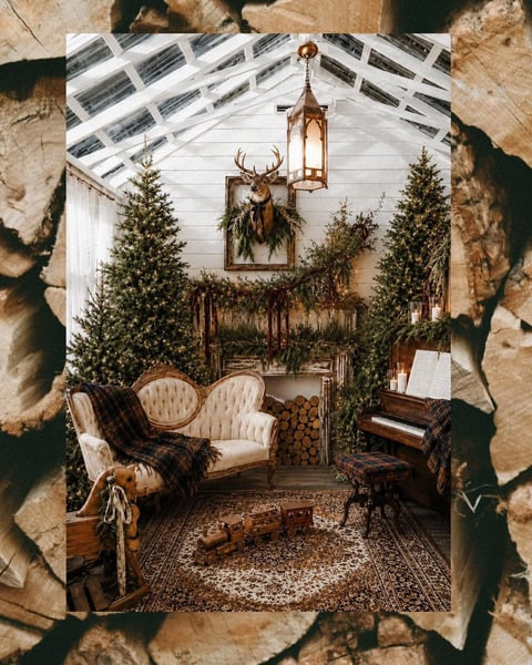 Image of November 15 | The Christmas Conservatory