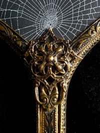 Image 4 of Ornate Vintage Hand mirror with Real Preserved Web - 4