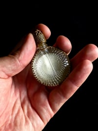 Image 3 of RARE VINTAGE round ornate perfume bottle with preseved web A